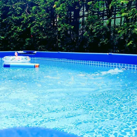 ゲストハウス Vila Lacramioara