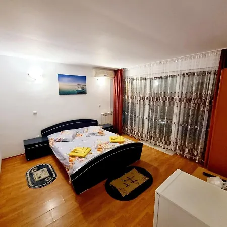 ゲストハウス Vila Lacramioara